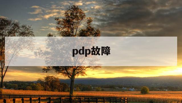 pdp故障(pdp鉴定失败)