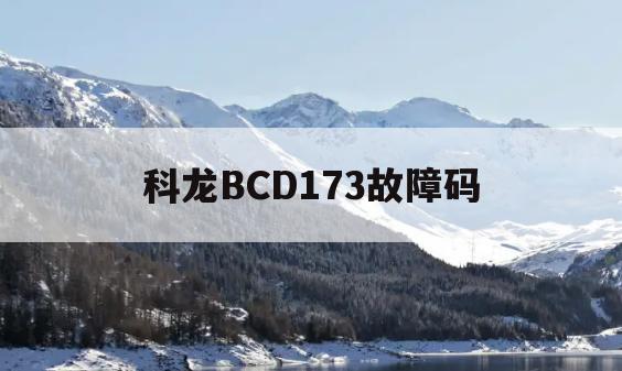 科龙BCD173故障码(科龙bcd209whc说明书)