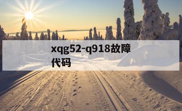xqg52-q918故障代码(xqg70b10866故障代码)